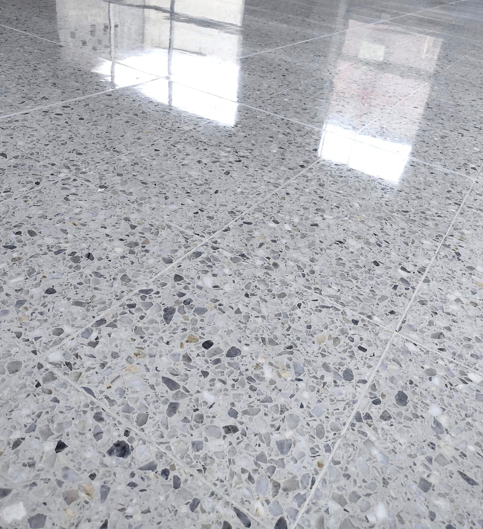 Polishing Project 5